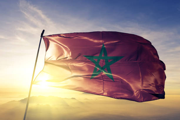 بين الواقع والطموح: القارة الإفريقية تختبر فعالية سياسة الحد من المخاطر بين الواقع والطموح: القارة الإفريقية تختبر فعالية سياسة الحد من المخاطر