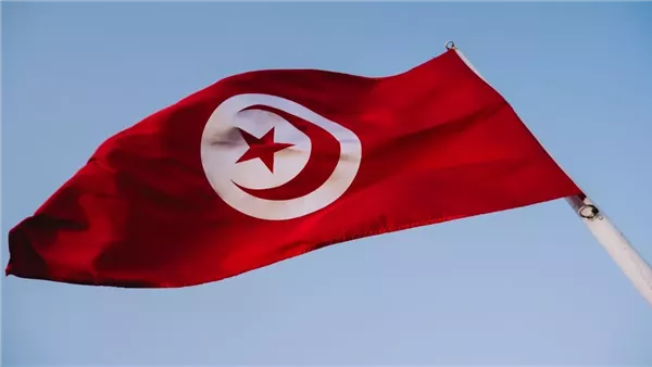 تفاصيل الأحكام القضائية في تونس ضد متهمين بالتآمر على أمن الدولة