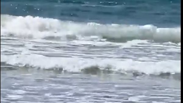 جنود في البر والبحر.. قرش يلتهم سباحًا إسرائيليًا على شاطئ الخضيرة (فيديو)