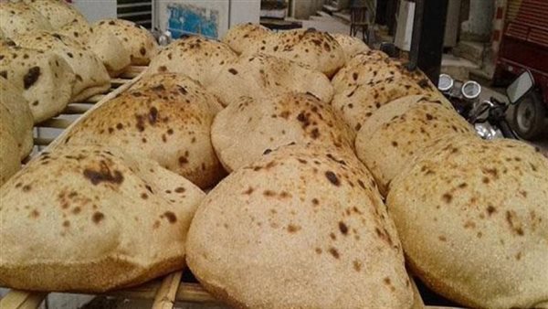 جهاز مستقبل مصر: نستهدف تحقيق الإكتفاء الذاتي للرغيف المُدعم من القمح المحلي