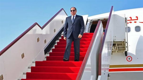 خبير اقتصادي: 85% من الاستثمارات الأجنبية دخلت مصر بجهود الرئيس السيسي ومجالس الأعمال 5%
