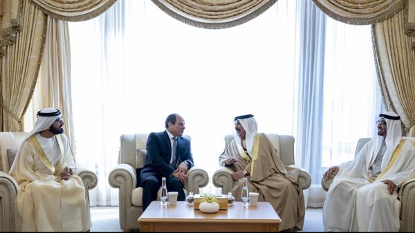 خبير: دول الخليج أخرجت النفط من حساباتها في التنمية والسيسي عزز العلاقات خبير: دول الخليج أخرجت النفط من حساباتها في التنمية والسيسي عزز العلاقات