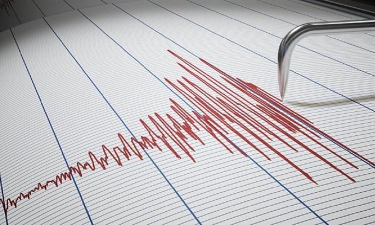 زلزال بقوة 4.3 درجة يضرب ولاية "جوجارات" الهندية