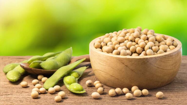 طوكيو تلوّح بزيادة واردات الأرز والصويا من واشنطن مقابل تخفيف الرسوم الجمركية الأميركية