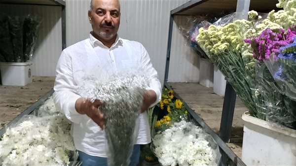 عزبة الأهالي مملكة الزهور في مصر..تزرع الورود وتصدرها للدول العربية وأوربا