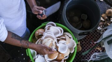 قفزة في أسعار جوز الهند وسط نقص المعروض والطقس السيئ