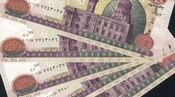كيفية الاستعلام عن منحة العمالة غير المنتظمة 2025.. اعرف كام الزيادة؟
