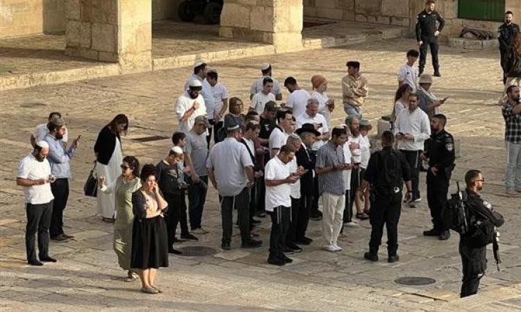 مئات المستوطنين يقتحمون باحات المسجد الأقصى بحماية شرطة الاحتلال مئات المستوطنين يقتحمون باحات المسجد الأقصى بحماية شرطة الاحتلال