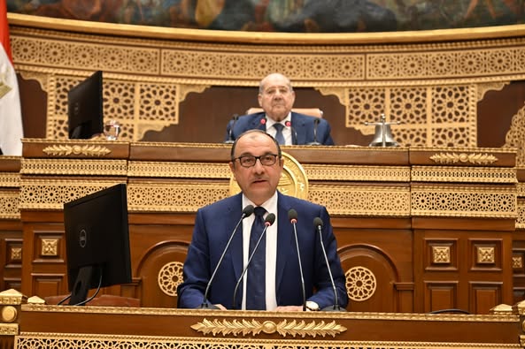 محمد شيمي: تعظيم العائد من الأصول وتعزيز تنافسية شركات قطاع الأعمال