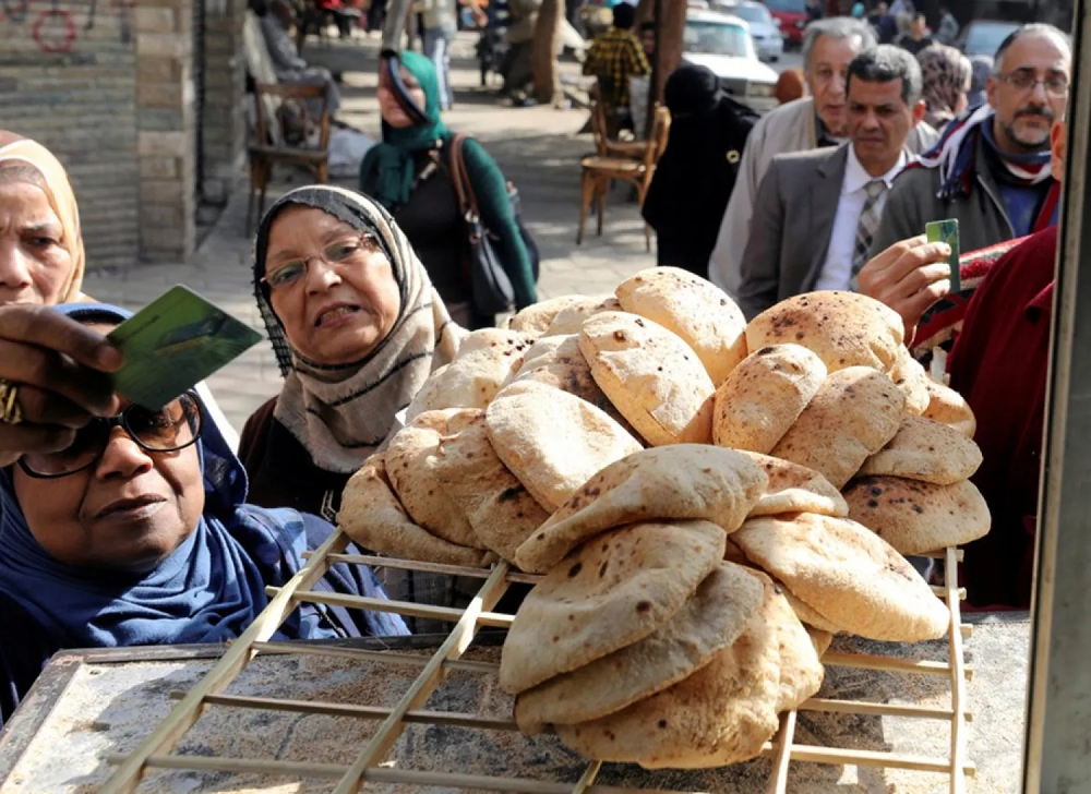 “مستقبل مصر”: نحتاج 8 ملايين طن قمح للخبز المدعّم.. والمحصول المحلي يكفي ويزيد “مستقبل مصر”: نحتاج 8 ملايين طن قمح للخبز المدعّم.. والمحصول المحلي يكفي ويزيد