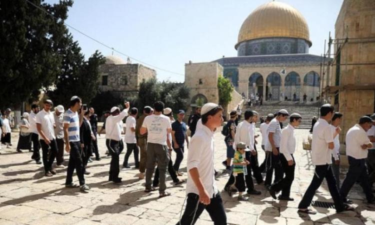 مستوطنون يقتحمون باحات المسجد الأقصى تحت حماية شرطة الاحتلال الإسرائيلي