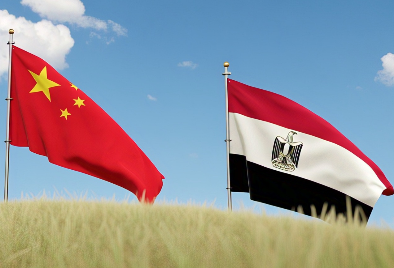 مصر تتطلع للتعاون مع الصين في مشروعات إسكان محدودي الدخل