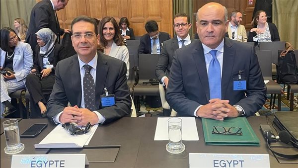 مصر تحسم الموقف في لاهاي: لا شرعية للاحتلال ولا أرض تُكتسب بالعنف (فيديو)