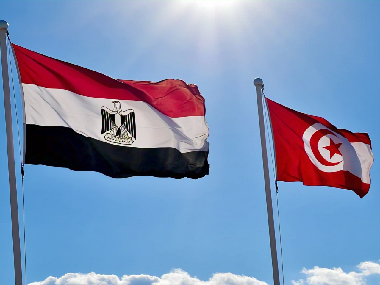 مصر وتونس تدرسان مقترحين لإنشاء بنك مشترك وخط ملاحي لتعزيز التجارة مصر وتونس تدرسان مقترحين لإنشاء بنك مشترك وخط ملاحي لتعزيز التجارة