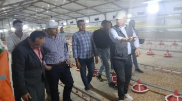 نائب محافظ المنيا يتفقد مشروع الإنتاج الداجني ويشيد بتطبيق أحدث التقنيات