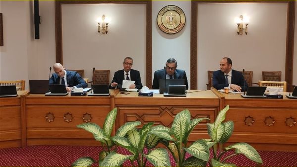 نائب وزير الخارجية يشدد على موقف مصر الداعم للسودان ومؤسساته الوطنية