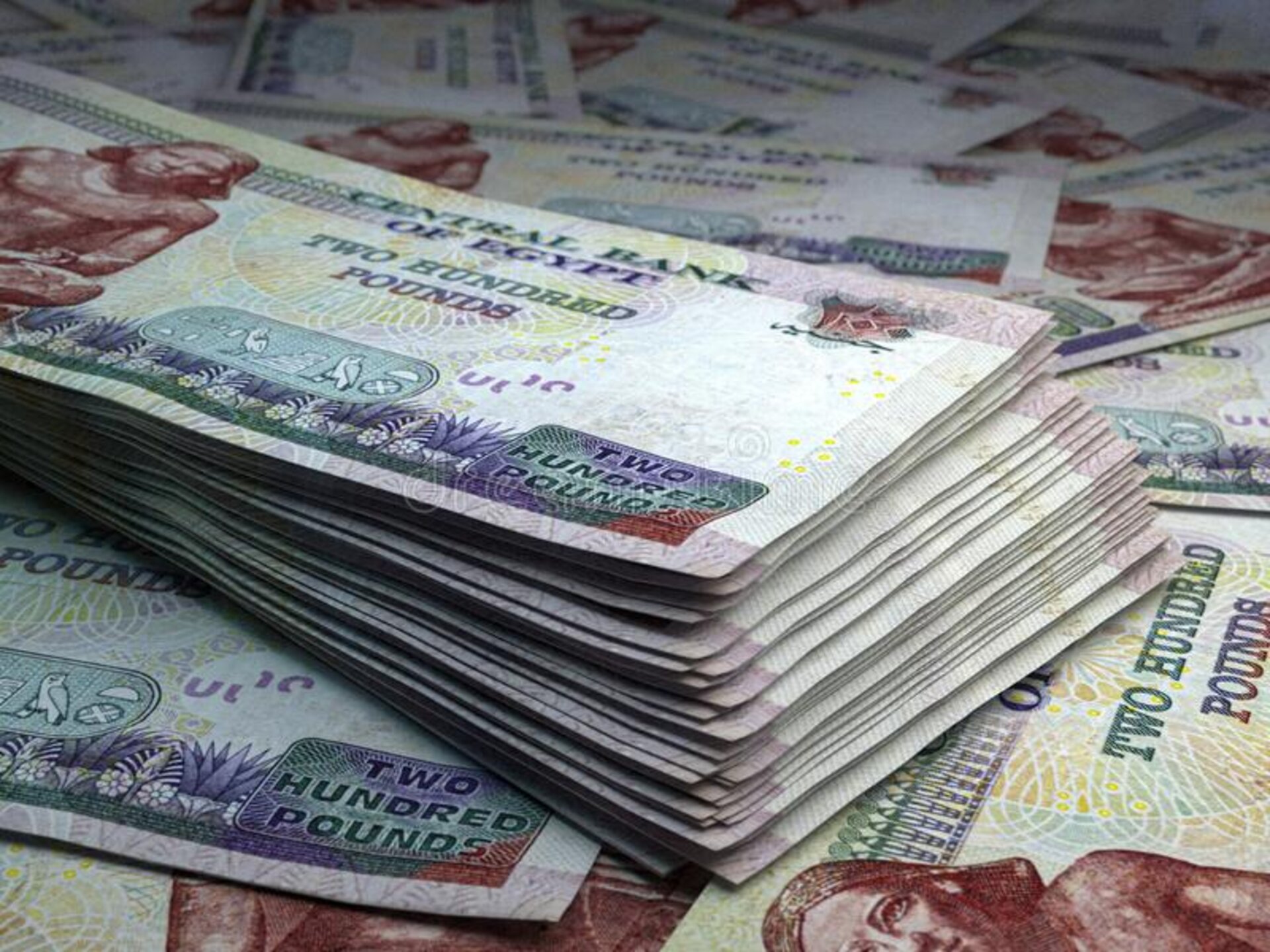 هل يكفى خفض الفائدة الأخير لإنعاش الإقراض غير المصرفي؟