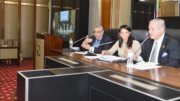 وكيل خطة النواب يكشف أبرز مستهدفات موازنة العام الجديد 2025/ 2026