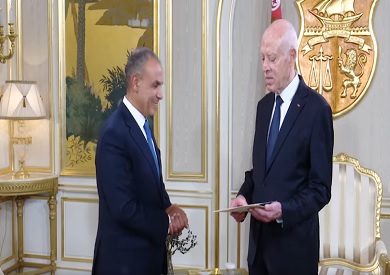 وزير الخارجية: مصر تبذل جهودا مضنية لسرعة التوصل إلى اتفاق لوقف إطلاق النار في غزة