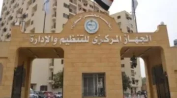 التنظيم والإدارة يتيح معرفة مواعيد الامتحانات الشفوية للناجحين في الامتحان الإلكتروني لمسابقة 1000 وظيفة إمام بوزارة الأوقاف.