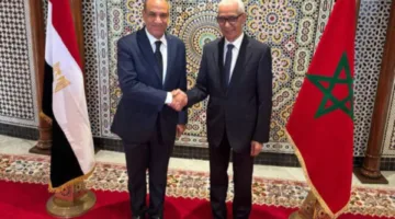 وزير الخارجية يُبرز فخر مصر بعلاقاتها مع المغرب الشقيق
