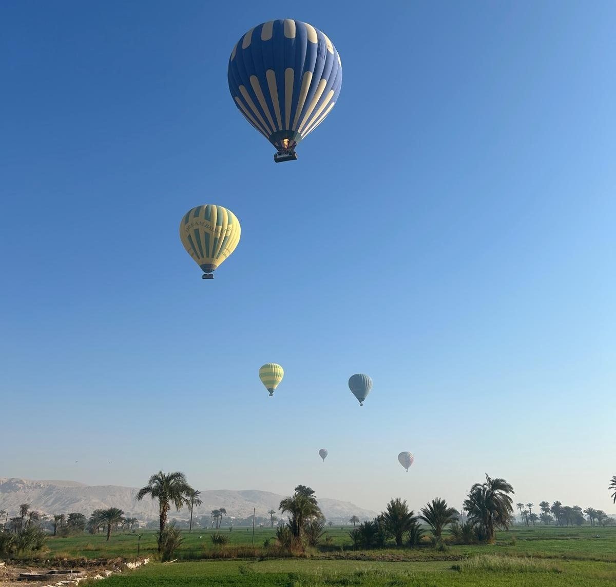 جانب من تغريد رحلات البالون الطائر بسماء الأقصر