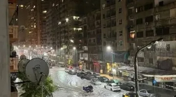 الذكاء الاصطناعي يساهم في بناء مستقبل بيئي مستدام لمواجهة تحديات المناخ.