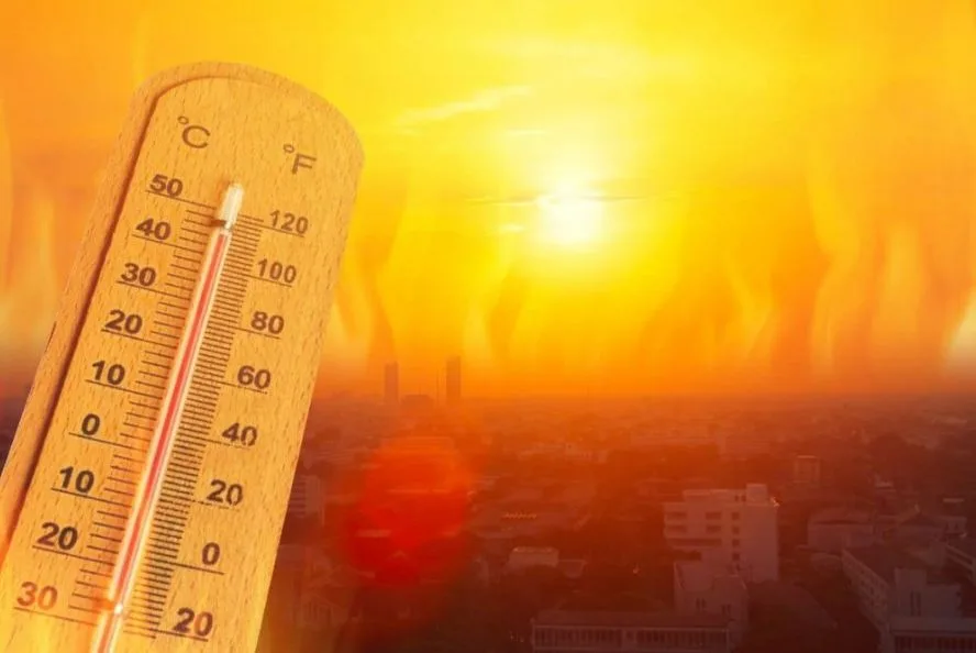 الإمارات تسجل أعلى درجة حرارة في مايو تصل إلى 51.6 درجة مئوية الإمارات تسجل أعلى درجة حرارة في مايو تصل إلى 51.6 درجة مئوية