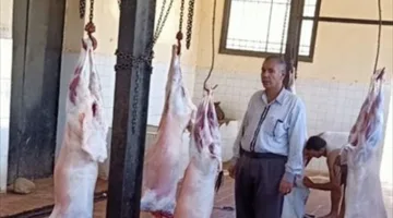 زيادة مستوى الجاهزية في مجازر المنوفية تحضيرًا لعيد الأضحى المبارك