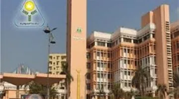 13 Injured Following Elevator Collapse at Menoufia University Hospital