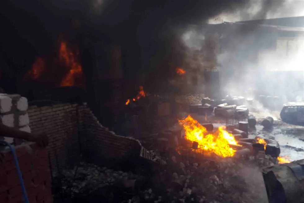 مصرع 3 عجول و2000 فرخ نتيجة حريق في مزرعة للدواجن بالشرقية مصرع 3 عجول و2000 فرخ نتيجة حريق في مزرعة للدواجن بالشرقية