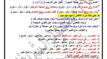 150 قاعدة نحوية لا غنى عنها في امتحان الصف الثالث الإعدادي