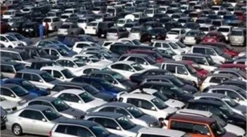 15.7 مليون جنيه إجمالي مبيعات السلع والسيارات من جمارك القاهرة والإسكندرية وسفاجا