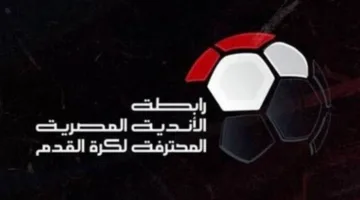 رابطة الأندية تقرر إنهاء الهبوط.. ودوري الموسم المقبل يتضمن 21 فريقًا «خاص»