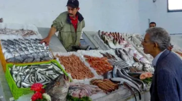 أسعار الأضاحي والأسماك واللحوم في أسواق العريش بشمال سيناء
