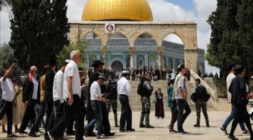 عشرات المستوطنين ي invading ساحات المسجد الأقصى تحت حماية قوات الاحتلال الإسرائيلي