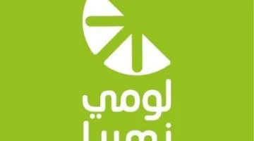 17 يونيو.. جمعية “لومي” تصوت على مشروعات وعقود لأعضاء في مجلس الإدارة تربطهم بها مصلحة غير مباشرة.