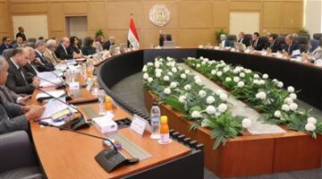 خطة جديدة لقطاع الكهرباء| فصل «المصرية للنقل» عن «القابضة» يفتح أفقًا جديدًا للاستثمار في 2025.. ما القصة؟