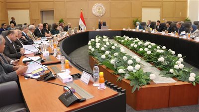 خطة جديدة لقطاع الكهرباء| فصل «المصرية للنقل» عن «القابضة» يفتح أفقًا جديدًا للاستثمار في 2025.. ما القصة؟