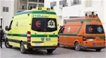 تفاصيل مصرع وإصابة 16 شخصا في حادث انقلاب سيارة بطريق وادي النطرون| بث مباشر