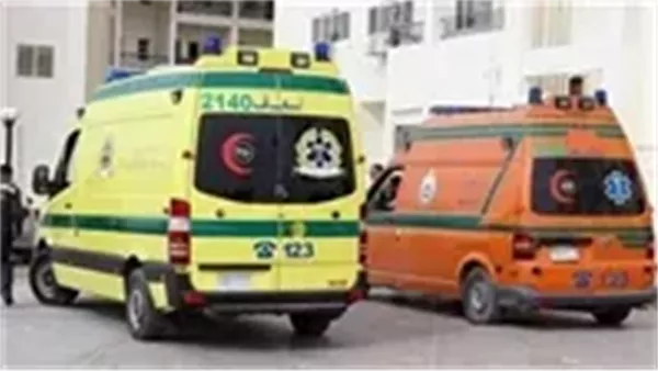 تفاصيل مصرع وإصابة 16 شخصا في حادث انقلاب سيارة بطريق وادي النطرون| بث مباشر
