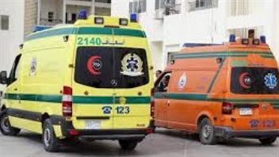 منجد يطعن مواطن في الوراق بسبب تحذيره من سرقة الطيور المنزلية