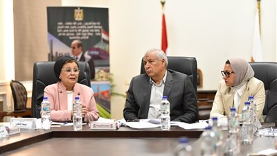 الصحة تشيد بجهود الوادي الجديد في تنفيذ خطة تحسين الخصائص السكانية وتحقيق أهداف الاستراتيجية الوطنية للسكان