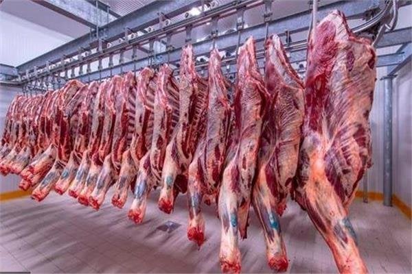 سعر كيلو اللحم البقري قائم قبل دخول عيد الأضحى 2025
