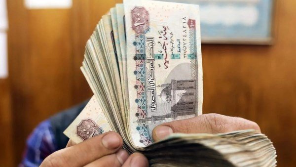 رابط الاستعلام عن منحة العمالة غير المنتظمة بالرقم القومي.. 1500 جنيه هدية