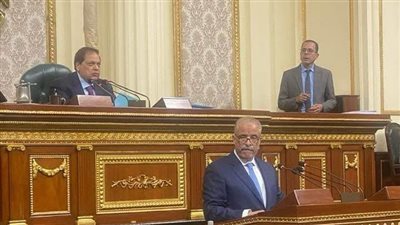 النائب عيد حماد يعرض تقارير مشروعات قوانين البحث عن البترول والغاز أمام البرلمان ويؤكد دعمه لجهود الحكومة