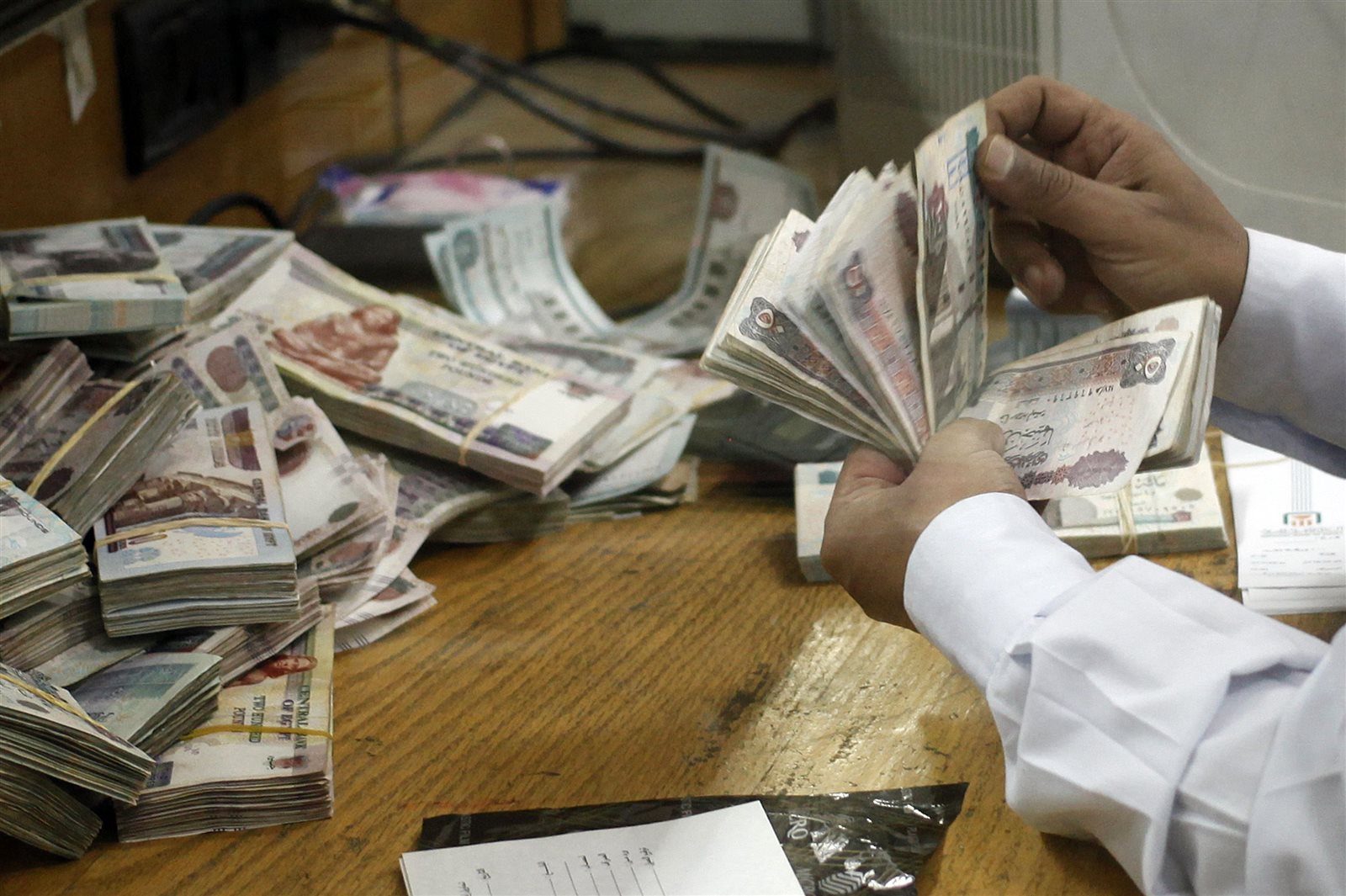 البنك الزراعي يوفر تمويلًا ميسرًا لمدة 5 سنوات وفترة سماح 12 شهرًا ..فيديو