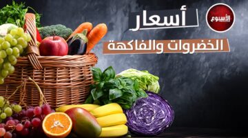 «البامية بـ 70».. أسعار الخضار والفاكهة اليوم الجمعة 2 مايو في سوق العبور