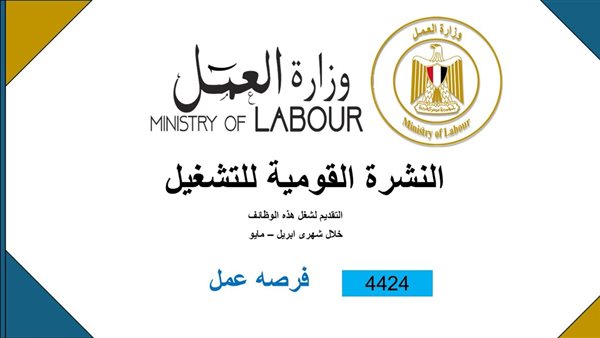 4424 فُرصة عمل جديدة في 72 شركة خاصة تنتظر شباب 12 محافظة