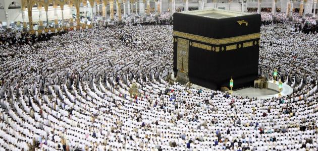 هيئة كبار العلماء في السعودية: الحج دون تصريح مخالفة شرعية يستحق مرتكبها الإثم